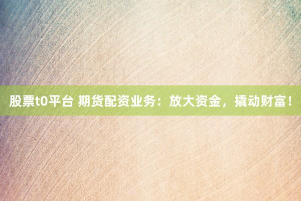 股票t0平台 期货配资业务：放大资金，撬动财富！