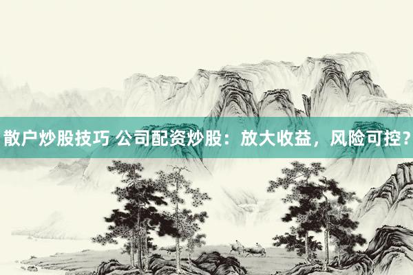 散户炒股技巧 公司配资炒股：放大收益，风险可控？