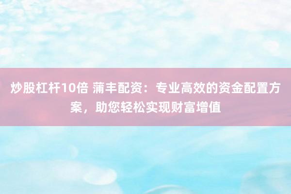 炒股杠杆10倍 蒲丰配资：专业高效的资金配置方案，助您轻松实现财富增值