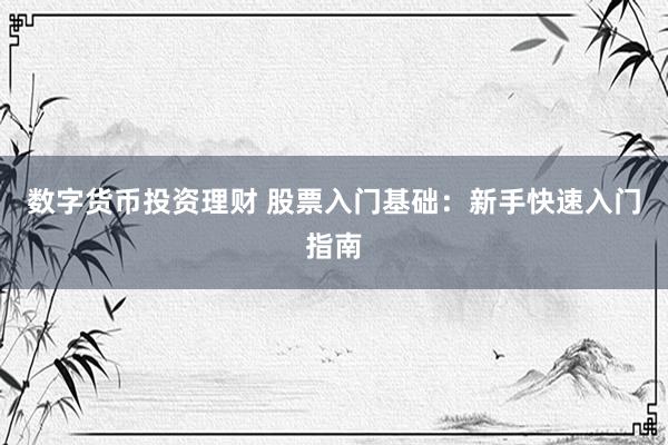 数字货币投资理财 股票入门基础：新手快速入门指南