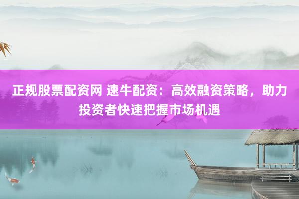 正规股票配资网 速牛配资：高效融资策略，助力投资者快速把握市场机遇
