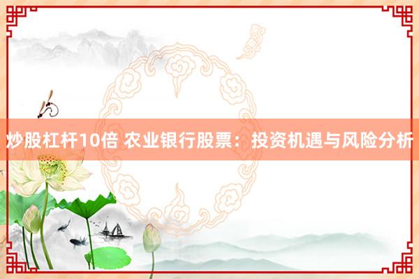 炒股杠杆10倍 农业银行股票：投资机遇与风险分析