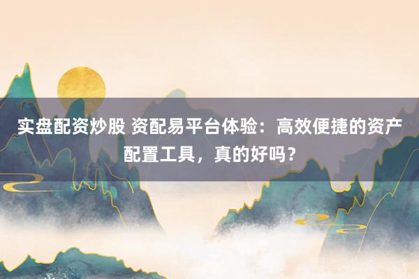 实盘配资炒股 资配易平台体验：高效便捷的资产配置工具，真的好吗？