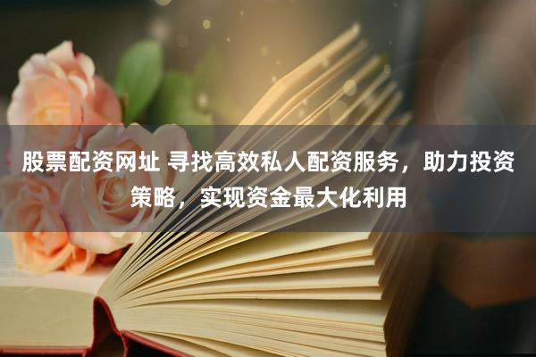 股票配资网址 寻找高效私人配资服务，助力投资策略，实现资金最大化利用