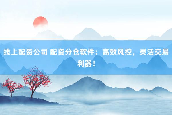 线上配资公司 配资分仓软件：高效风控，灵活交易利器！