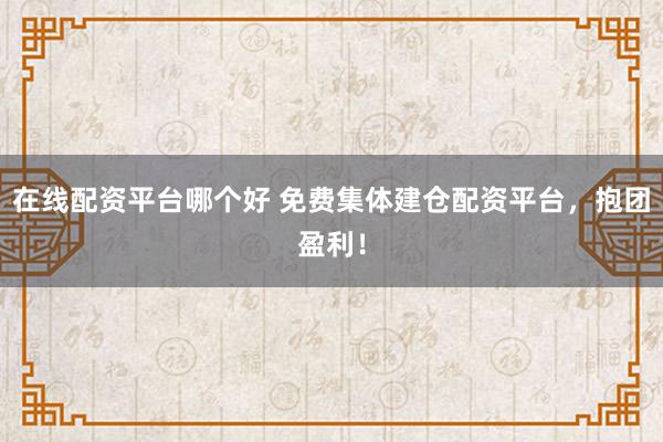 在线配资平台哪个好 免费集体建仓配资平台，抱团盈利！