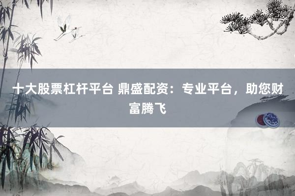 十大股票杠杆平台 鼎盛配资：专业平台，助您财富腾飞