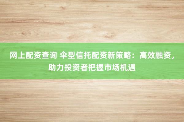 网上配资查询 伞型信托配资新策略：高效融资，助力投资者把握市场机遇