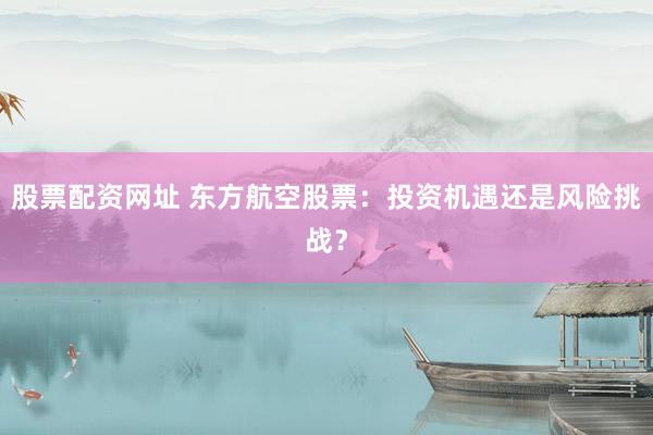 股票配资网址 东方航空股票：投资机遇还是风险挑战？