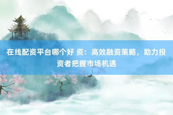 在线配资平台哪个好 资：高效融资策略，助力投资者把握市场机遇