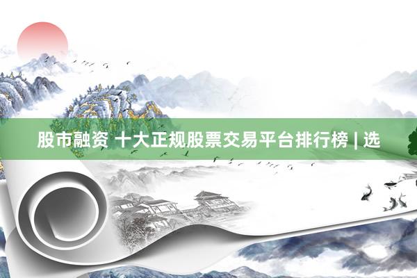 股市融资 十大正规股票交易平台排行榜 | 选