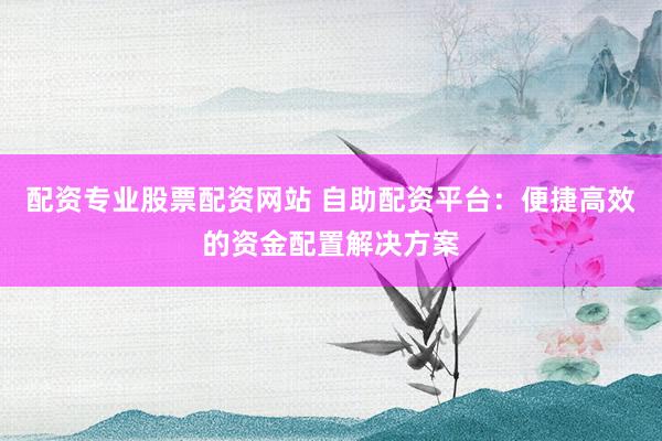 配资专业股票配资网站 自助配资平台：便捷高效的资金配置解决方案