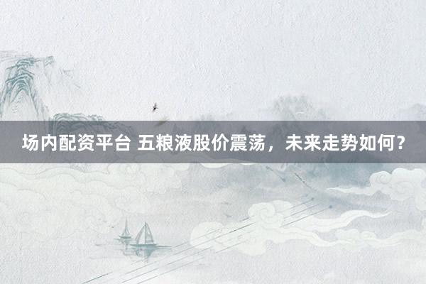 场内配资平台 五粮液股价震荡，未来走势如何？