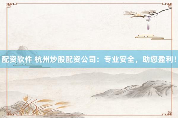 配资软件 杭州炒股配资公司：专业安全，助您盈利！