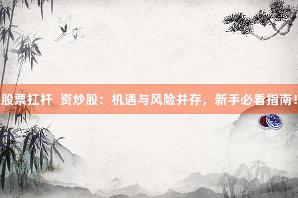 股票扛杆  资炒股：机遇与风险并存，新手必看指南！