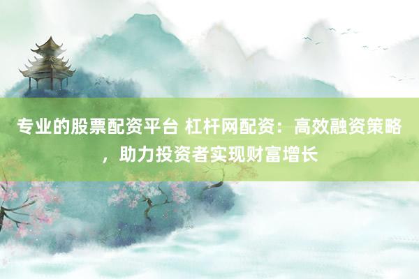 专业的股票配资平台 杠杆网配资：高效融资策略，助力投资者实现财富增长