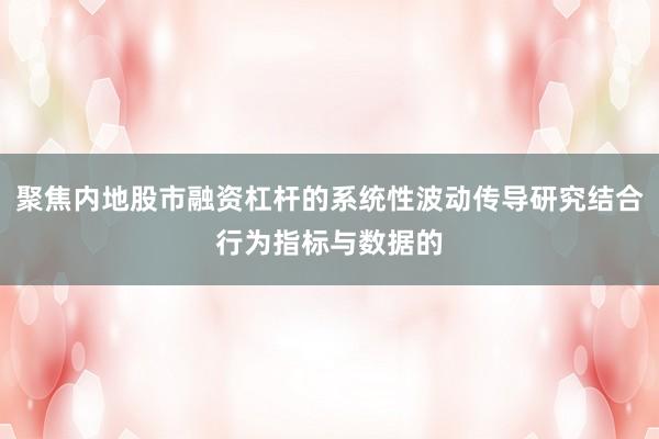 聚焦内地股市融资杠杆的系统性波动传导研究结合行为指标与数据的