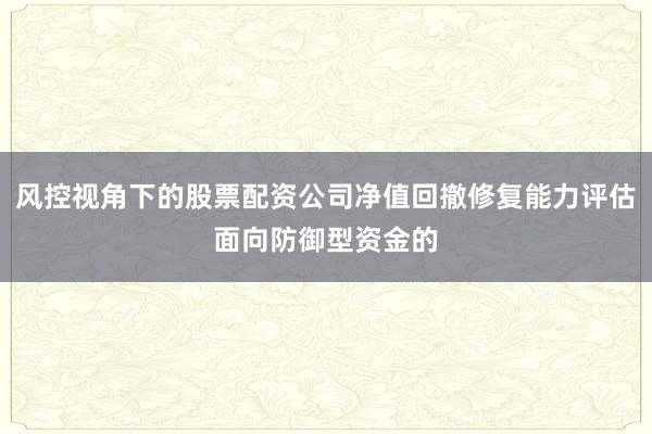 风控视角下的股票配资公司净值回撤修复能力评估面向防御型资金的