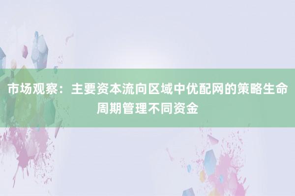 市场观察:主要资本流向区域中优配网的策略生命周期管理不同资金