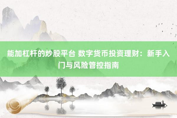 能加杠杆的炒股平台 数字货币投资理财：新手入门与风险管控指南